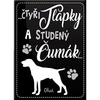 Dekorativní magnet Nekupto Magnet se psem - Ohař