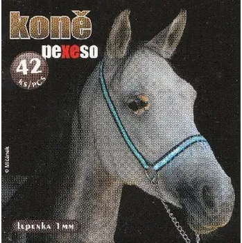 Pexeso Pexeso v krabičce - Koně - Petr Mičánek