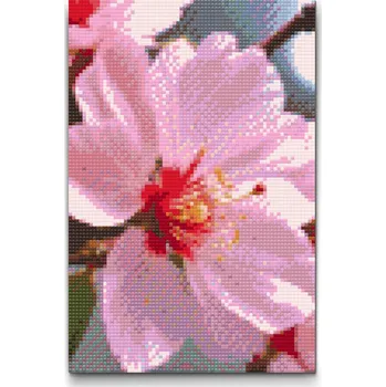 Diamantové malování Diamantové malování - Květ třešně Velikost: 20x30cm, Rámování: Pouze srolované plátno, Diamanty: Čtvercové