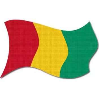 Vlajka Pelisport Guinejská vlajka vlající tištěná