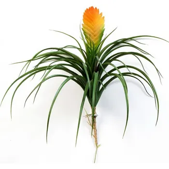 umělá květina Umělá květina Bromelia s květem, 30cm