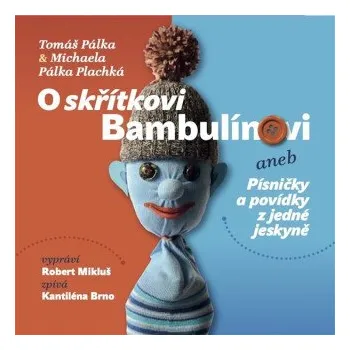 O skřítkovi Bambulínovi aneb Písničky a povídky z jedné jeskyně - Pálka Plachká Michaela