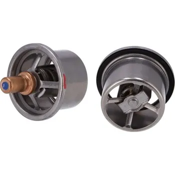 Motor automobilu Termostat DAF 75CF/105 87C DAF 1661375