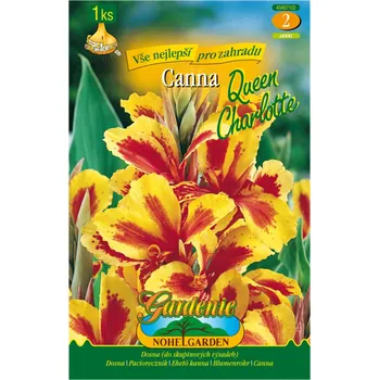 Semeno Canna Qeen Charlotte 1ks