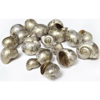 Šnečí ulity, stříbrná, 500 g, 3 - 5 cm