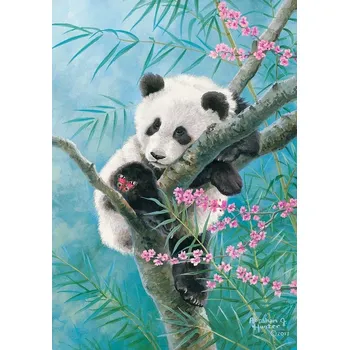 Puzzle Castorland Bambusové sny 500 dílků