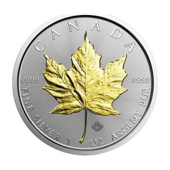 1 unce stříbrná mince Javorový list 2019 teilvergoldet
