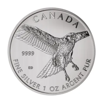 1 unce stříbrná mince Kanada Birds of Prey - Red-Tailed Hawk - Rotschwanzbussard 2015