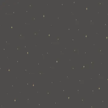 Tapeta Vliesová tapeta na zeď Caselio 102969983, Hvězdy, černá