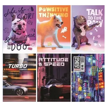 Set školních potřeb Zeszyt A4/32K kratka Basic (10szt) MAR MAR