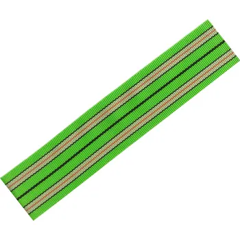 Postroj pro psa Popruh polypropylen pro sáňky zelený/černý/oranžový 60mm