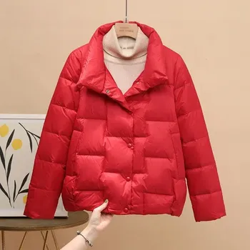 Dámská softshellová bunda Krátká péřová bunda na podzim Barva: Červená, Velikost: S