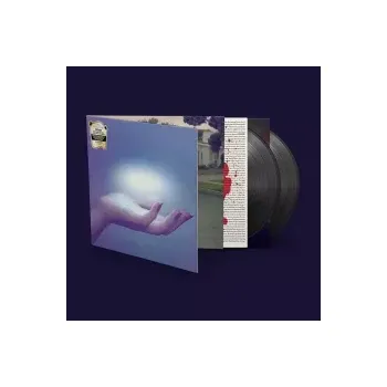 Zahraniční hudba They Want My Soul / Vinyl / 2LP - Spoon [2 LP]