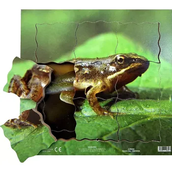 Puzzle Just Jigsaws Žába a její životní cyklus - dřevěné vrstvené puzzle