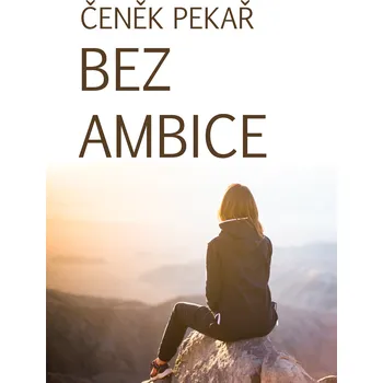 Kniha Bez ambice