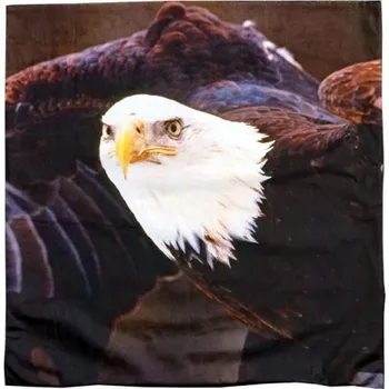 Povlečení Polštář OREL BĚLOHLAVÝ VG-826-105 Velikost: UNI