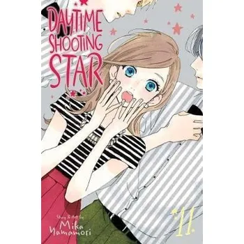 Komiks pro dospělé Daytime Shooting Star 11