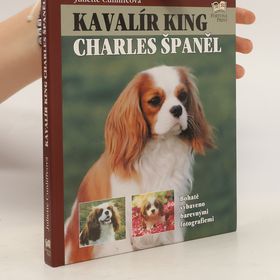 Obrázek k inzerátu: Kavalír king Charles španěl