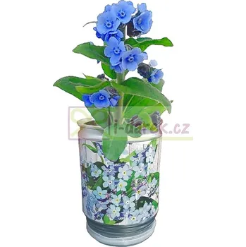 Žertovný předmět Vypěstování kytičky v plechovce - Pomněnka, Forget me not