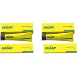 Namman Muay New Active Cream Thajský krém 4x100 g