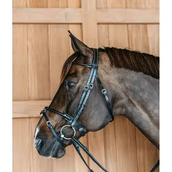 Uzdečka DYON Working Round Leather - černá, PONY