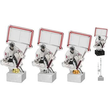 Poháry Bauer Akrylátová trofej ACTH0002M3 | Hokej