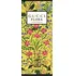 Dámský parfém Gucci Flora Gorgeous Orchid W EDP