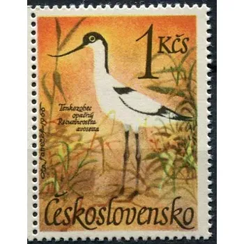 Poštovní známka Českosloveská pošta (1967) č. 1591 ** - Československo - Vodní ptactvo, Tenkozobec obecný