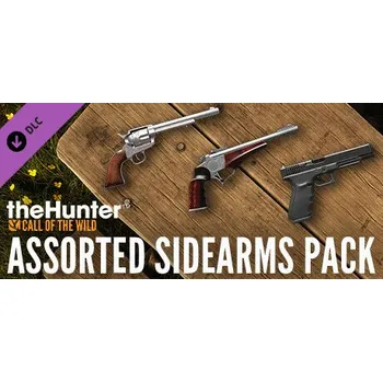Počítačová hra theHunter: Call of the Wild - Assorted Sidearms Pack (PC) (Steam)