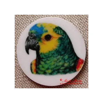 Papoušek amazoňan magnet nebo placka - Magnet