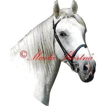 Samolepka orlovský klusák, kůň, koně - archiv