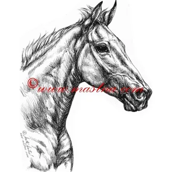 Samolepka teplokrevník,Orphee des Blins , kůň, koně - archiv c585 - Malá - přibližně jako pohlednice