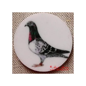 Holub poštovní magnet nebo placka - Špendlík brožový