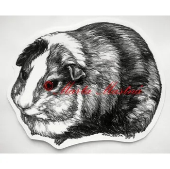 Samolepka morče - archiv c433 - Malá - přibližně jako pohlednice