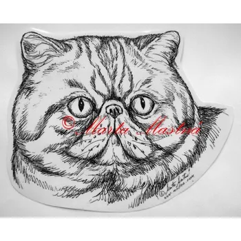 Samolepka kočka exotická - archiv c321 - Malá - přibližně jako pohlednice