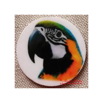 Papoušek ara ararauna magnet nebo placka - Špendlík brožový