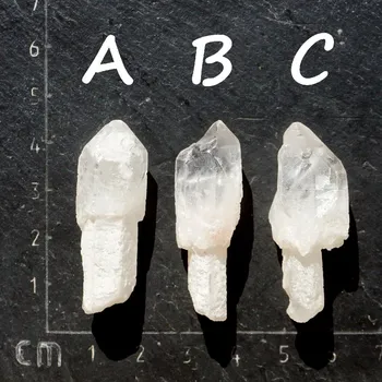 Sběratelství Křišťál žezlo (335), , skladem