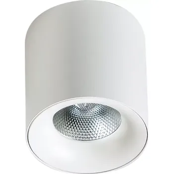 Nástěnné svítidlo LED bodové světlo Mane 20W bílé