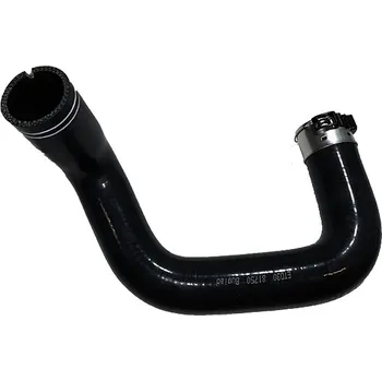 Motor automobilu Hadička plnicího vzduchu BUGIAD 81750