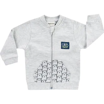 Chlapecká mikina Dětská mikina na zip Cool boy Barva: šedá, Velikost: 68