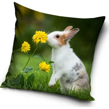 Bytový textil Carbotex Dekorační polštářek Králík na Louce