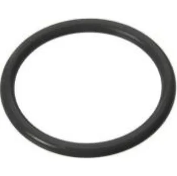 Bazénová filtrace Pooltechnika O-kružek k ventilu 125463