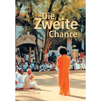 Die Zweite Chance - Levin, Howard