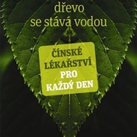 Obrázek k inzerátu: Dřevo se stává vodou (Gail Reichsteinová)