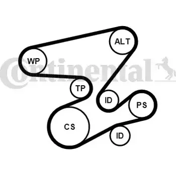Motor automobilu CONTITECH Vodní pumpa klínového drážkového řemenu CTT 6PK2080WP2