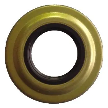 Motor pro motocykl RMS Gufero 31x62x4,3/5,8 100666010