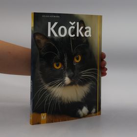 Obrázek k inzerátu: Kočka