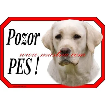 Cedulka labrador retrívr, retriever pozor - Bez samolepicí vrstvy