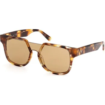 Pánské sluneční brýle Web Eyewear WE0315-0041F