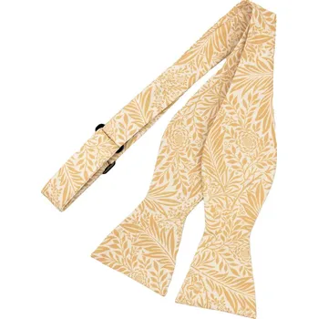 Motýlek Bubibubi Žlutý vázací motýlek Aurora